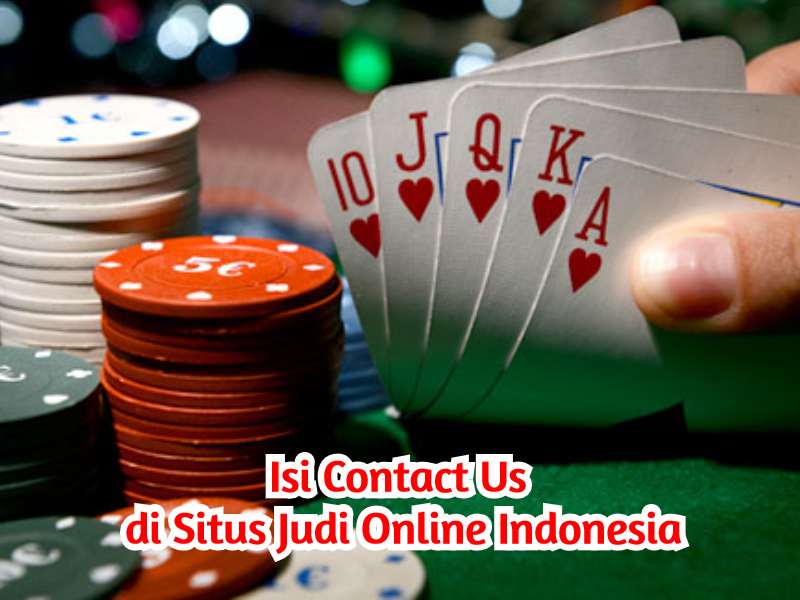 Contact Us Judi